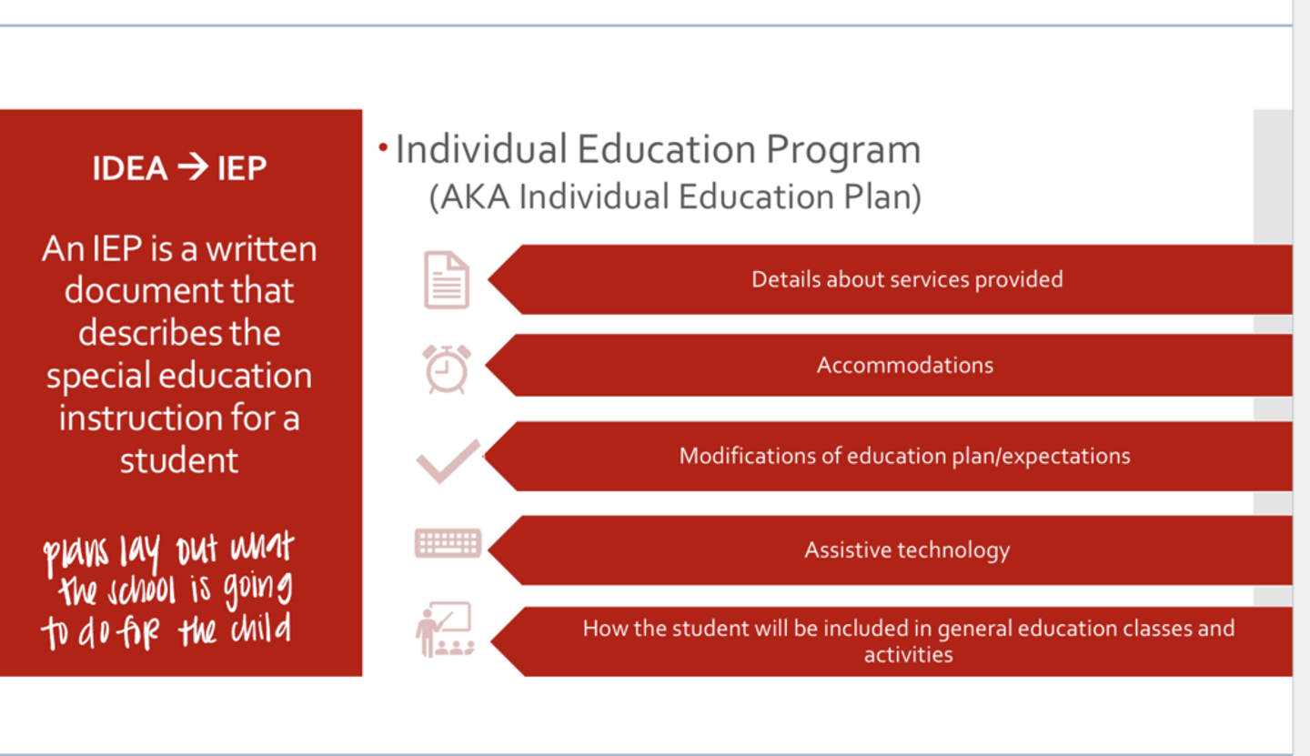 <p>What is an IEP?</p>