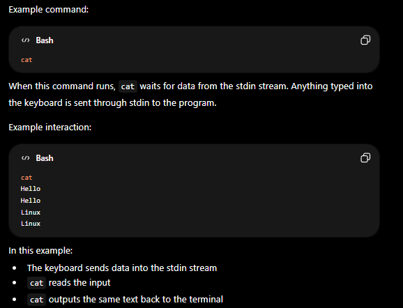 <p>stdin stream</p>