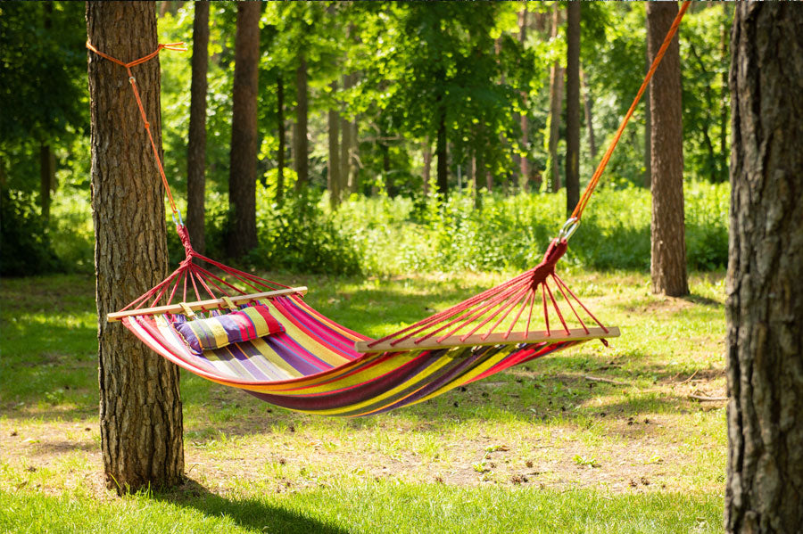 <p>Hammock</p>