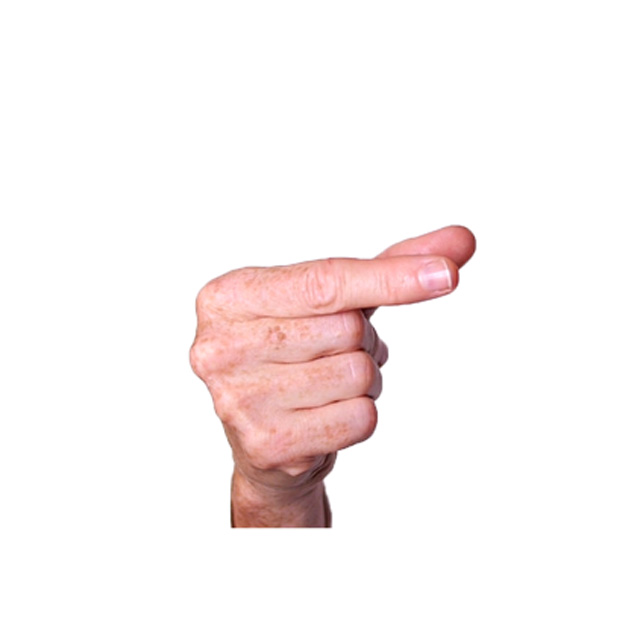 term image