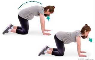 <ul><li><p class="Paragraph SCXW23100321 BCX2" style="text-align: left;"><span style="line-height: 20px; color: windowtext;"><span>Helps relieve backache during pregnancy early labor by making the lumbar spine more flexible </span></span></p></li></ul><ul><li><p class="Paragraph SCXW23100321 BCX2" style="text-align: left;"><span style="line-height: 20px; color: windowtext;"><span>Done on hands and knees, lying down, or standing </span></span></p></li></ul><p></p>