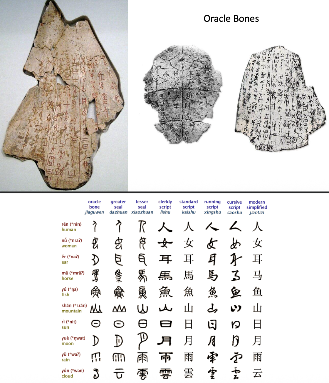 <p>Oracle bones, divination, early writing</p>