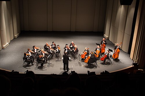 <p>Orquesta</p>