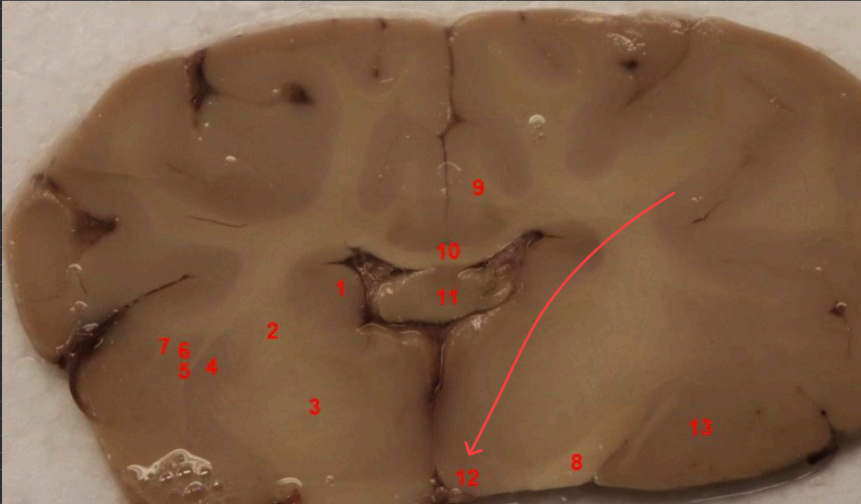 <p>what area is this </p>