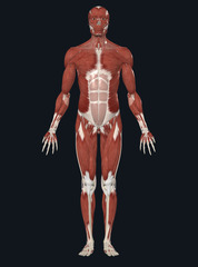 <p>Name the position the model is standing in.</p>