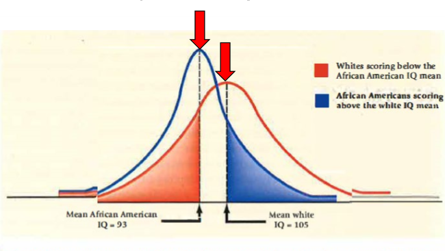 <ul><li><p><span>Die ethnische Herkunft per se sagt nicht den IQ voraus</span></p></li></ul><p>&nbsp;</p><ul><li><p><span>Es gibt Afroamerikaner die besser abschneiden als der Durchschnitt der Europäischen Amerikaner</span></p></li><li><p><span>Es gibt Europäische Amerikaner die schlechter abschneiden als der Durchschnitt der Afroamerikaner</span></p></li></ul><p></p>