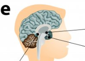 <p>arrow from the bottom left</p>