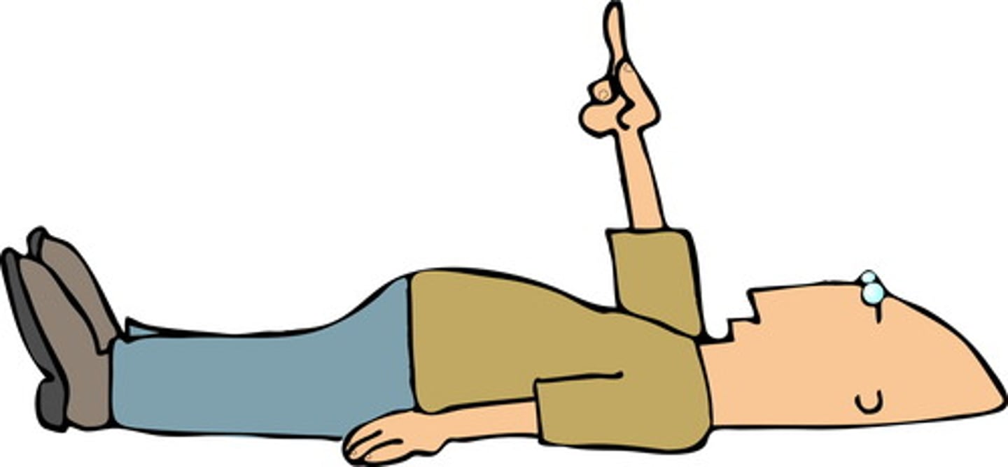 <p>horizontal position</p>