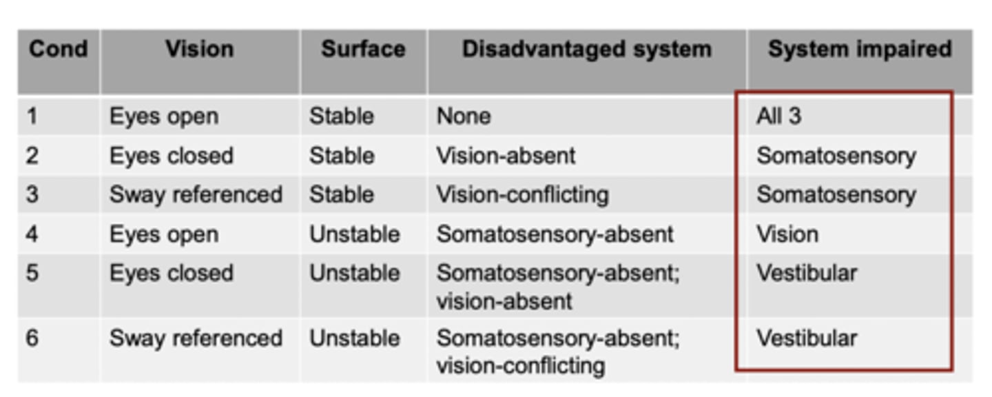 <p>Somatosensory</p>
