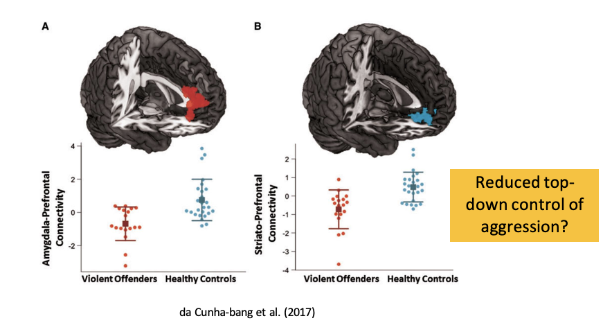 <p>da Cunha-bang et al (2017)</p><ul><li><p>violent and non-violent male offenders </p></li><li><p><span>had to keep pressing a button and after a certain amount of times there was money, every few seconds another opponent (computerised) would steal points and the participant was given different options</span></p><ul><li><p>ignore </p></li><li><p>retaliate (steal points)</p></li><li><p>protect (protect points for a breif period of time) </p></li></ul></li></ul><p></p><p>findings:</p><p><span>Violent offenders – saw different levels of connectivity</span></p><ul><li><p><span>Reduced connectivity between A and PFC and S-PFC in violent offenders → increased amygdala and striatal activity </span></p></li><li><p><span>Issues in regulating anger</span></p></li><li><p><span>Reduced activity from PFC but hypoeractive A and S suggests there is less top-down control, feeling anger way more intense </span></p></li></ul><p></p>