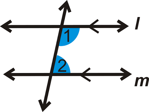 <p>Angles on the same side of the transversal between the two lines; they add up to 180 degrees</p>
