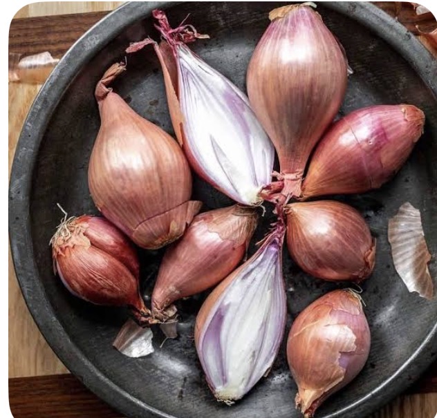 <p>Shallot</p>