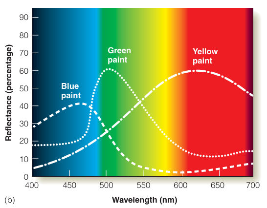 <p>what is subtractive color mixing?</p>