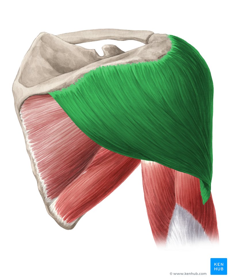 <p></p>