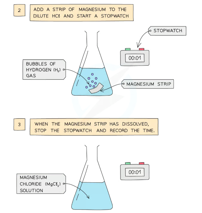 <ol><li><p>Dilute HCl is heated to a <u>set temperature using a water bath</u></p></li><li><p>Add the dilute HCl into a <u>conical flask</u></p></li><li><p>Add a<u> strip of magnesium</u> and <u>start the stopwatch</u></p></li><li><p>Stop the time when the magnesium <u>fully dissolves</u></p></li><li><p>Repeat at different temperatures and compare results</p></li></ol><p></p>