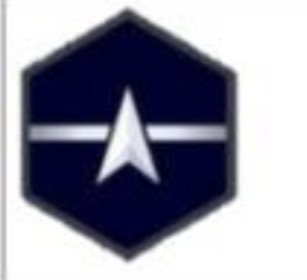 <p>USSF Enlisted Ranks</p>