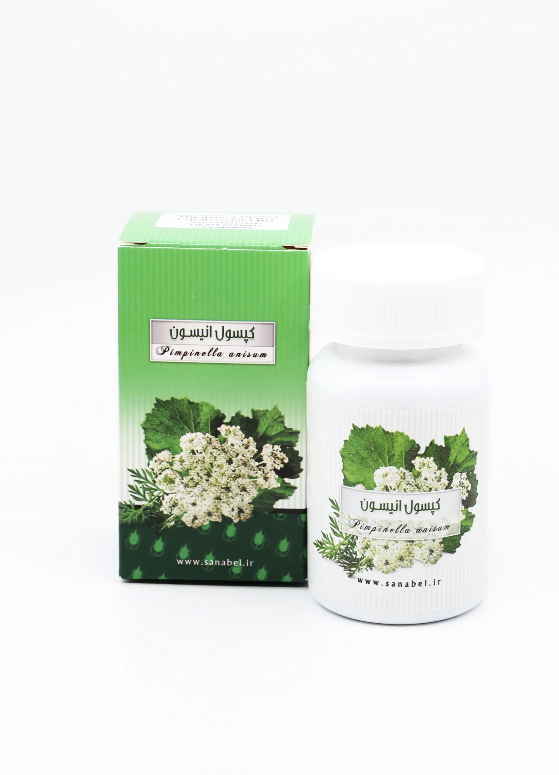 <p>نام علمی : Pimpinella anisum </p><p>نام فارسی : بادیان رومی </p><p>خانواده : Apiaceae </p><p>ماده موثره : آنتول موجود در اسانس </p><p>کاربرد : طعم دهنده، آنتی اکسیدان، نگهدارنده، برای تهیه انواع عطر، در صنایع بهداشتی،</p><p>کاربرد دارویی : مقوی معده، ضد نفخ، افزایش دهنده شیر، گرم کننده و محرک، بهبود دستگاه گوارش، برای کبد و گردش خون، خاصیت ضد سرفه و استروژنیک، ضد قارچ (جز فعال: ترانس آنتول) ، ضد میکروب، خاصیت مهارکنندگی آنزیم ۵-آلفا ردوکتاز، توقف رشد پروستات، بهبود جریان ادرار </p><p></p>