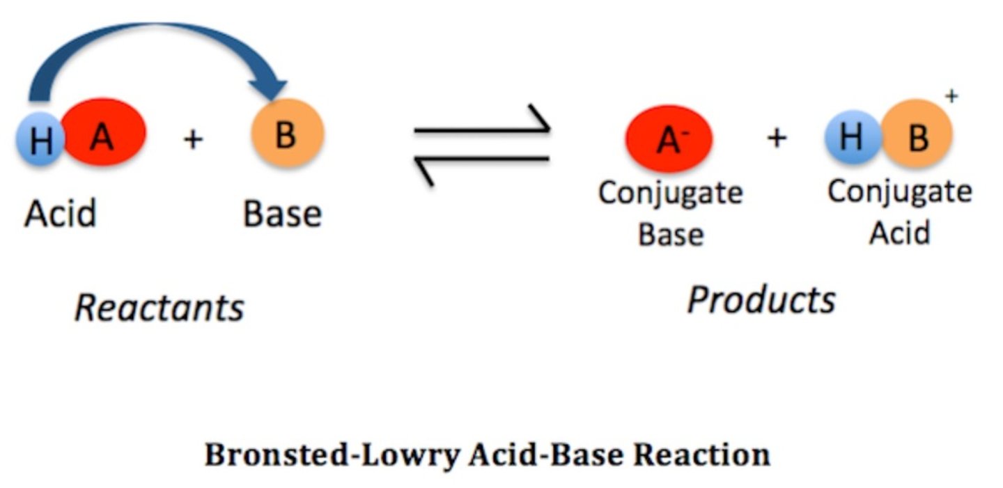 <p>acid HA donates proton to a solution when it dissociates into H and conjugate anion A-</p>