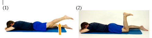 <p>Your patient is lying prone and fully extends his hip (1). He then flexes his knee and tries again to extend his hip but cannot extend his hip as far (2). This lack of hip extension occurs because the hamstrings cannot shorten enough to move the hip through full range with the knee flexed. The hamstrings lack the functional excursion to move all the joints over which they pass through the full range of motion. The hamstrings are experiencing:</p>