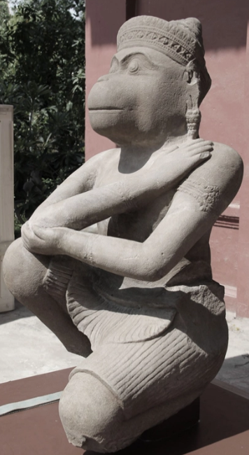 term image