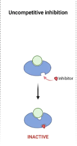 <p>binds to the enzymes substrate complex, preventing the release of products. Binds AFTER substrate binds </p>