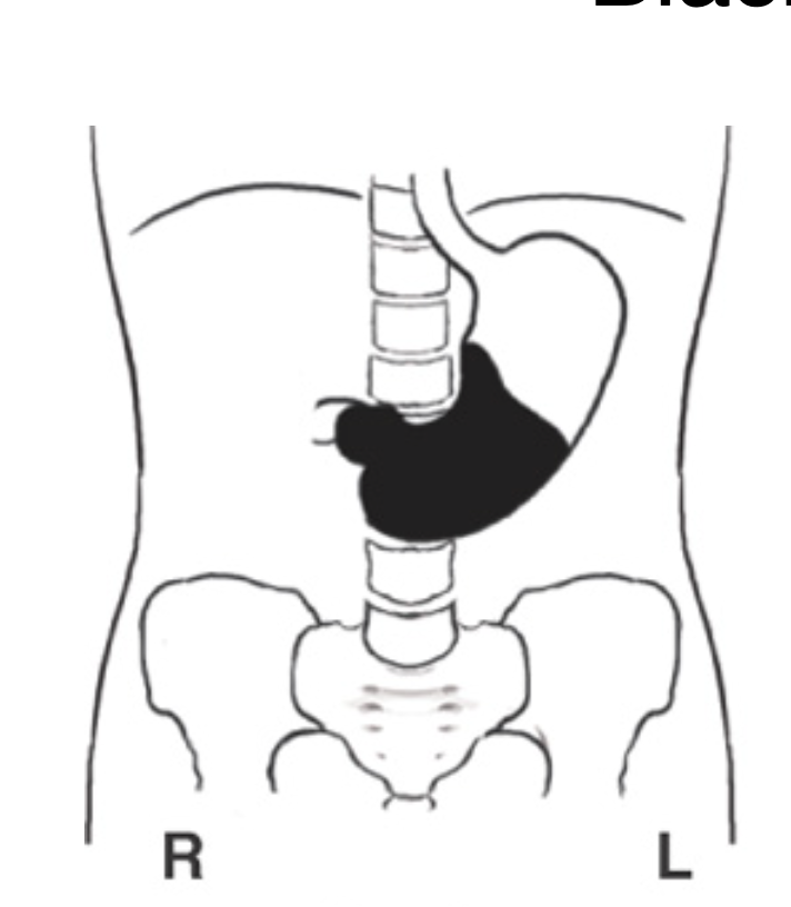 <p>What patient position is this?</p>