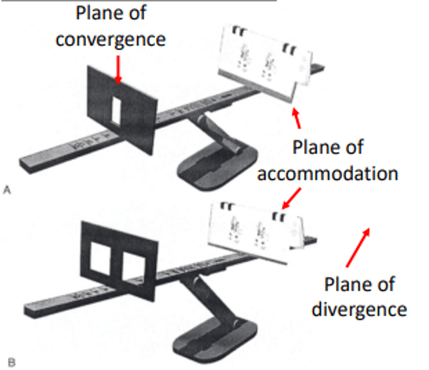 <p>The aperture rule trainer activity tests ____ vergences</p>