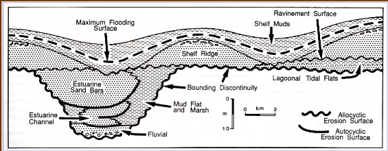 <p>At the low stand (regressive), there is an erosional unconformity, in which the water was at its lowest and after this point began to rise (fluvial deposits, sand)</p><p>At the high stand (transgressive), there is a maximum flooding surface, in which the water was at its deepest and after this point began to lower (muddy deposits, shale, silt)</p>