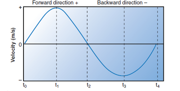<p>Based off the information provided in the diagram during the time point from t0 to t1, what is occuring?</p>
