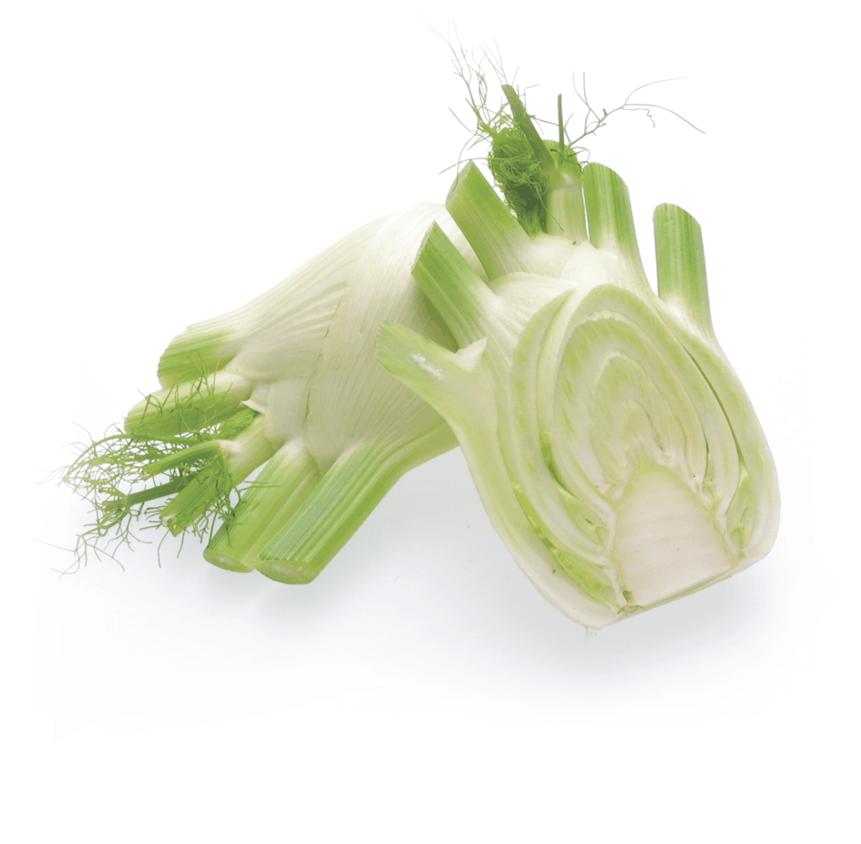 <p>Fennel / Funcho</p>