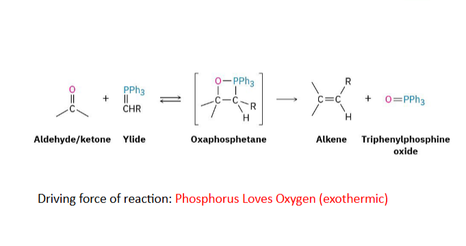 <p></p><p>Purpose: Carbonyl —> Alkene</p><p>Reagent: Phosphorus Ylide</p><p>Changes a C=O to a C=C, driving force, phosphorus loves oxygen.</p>