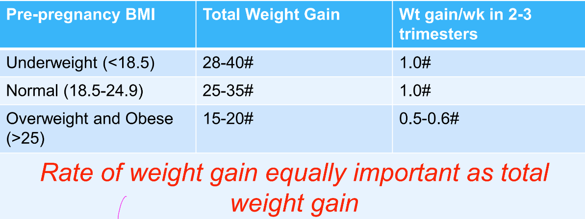 <ul><li><p>if you gain a lot of weight in the beginning, it is not the fetus, it is just the mother putting on extra fat </p></li></ul><p></p>