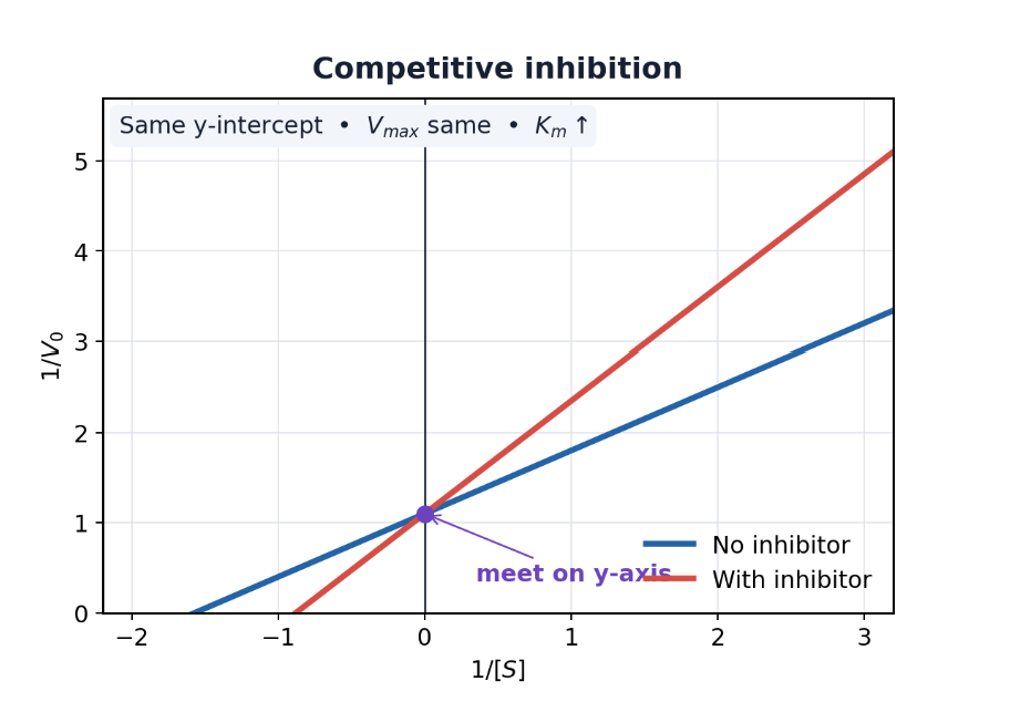<p>Same y-intercept.</p>