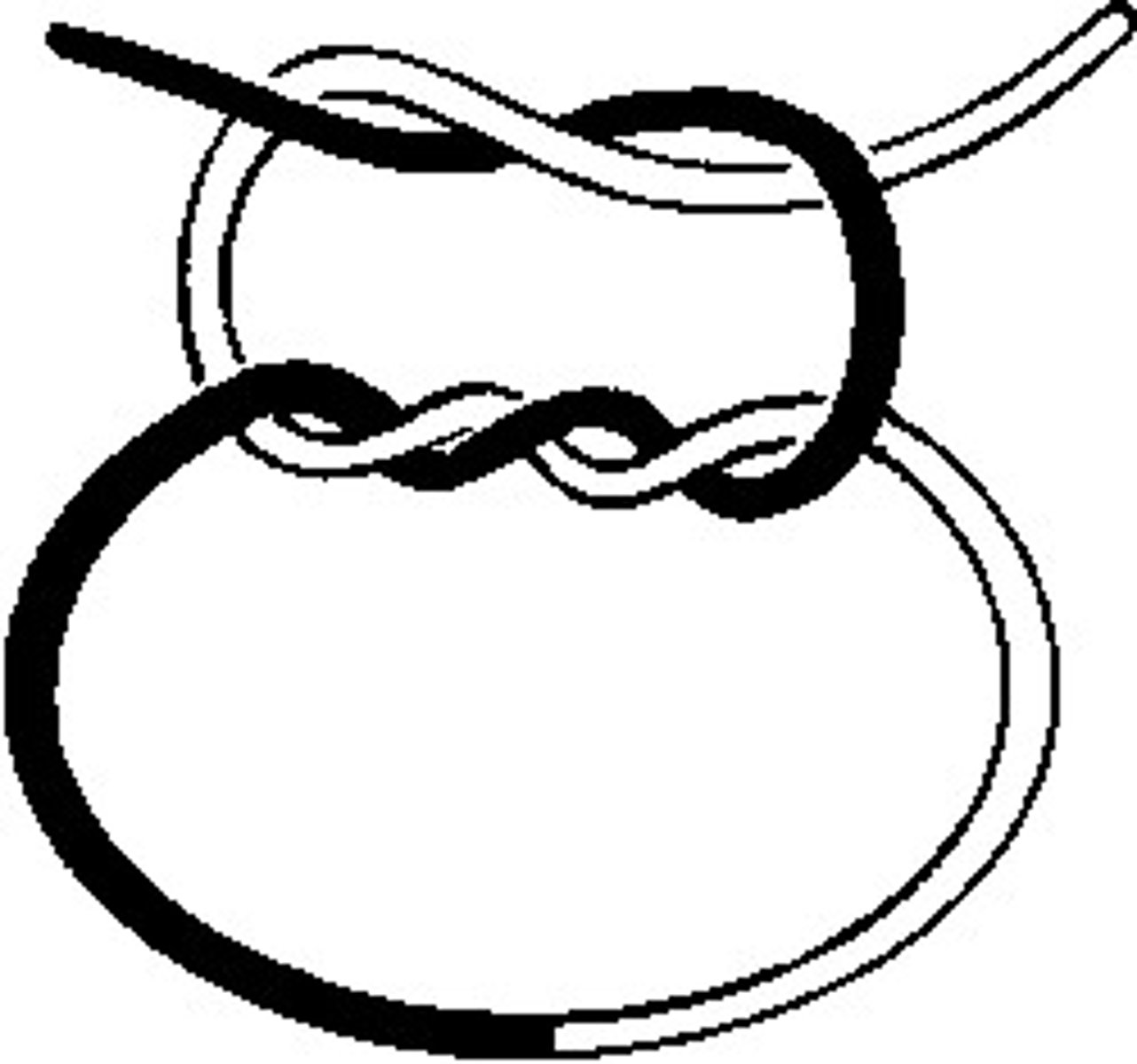 <p>double-wrap throw followed by single square knot throws</p>