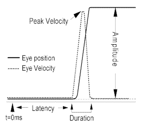 <p>Peak Velocity</p>