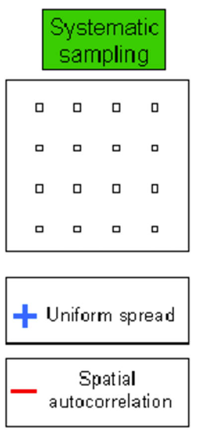 <p>sampling by creating a grid and collected in even increments</p><ul><li><p><strong>spatial autocorrelation</strong> - samples closer together will be more similar </p><ul><li><p>don’t want</p></li></ul></li></ul><p></p>