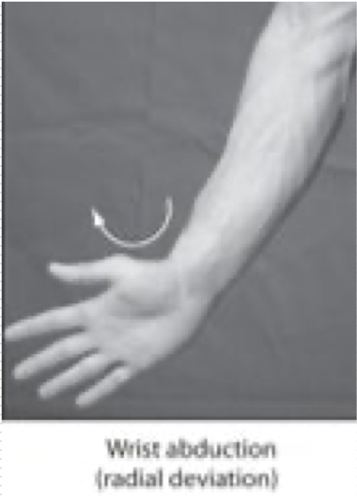 <p>Movement of the hand away from the midline </p>