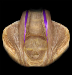 <p>identify the structure</p>