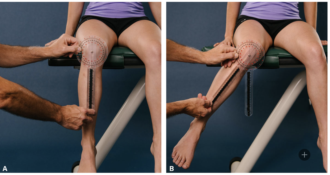 <p>Hip Internal Rotation</p>
