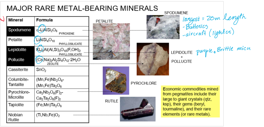 <ol><li><p>Spodumene (Li)</p></li><li><p>Petalite (Li)</p></li><li><p>Lepidolite (Li)</p></li><li><p>Pollucite (Cs)</p></li><li><p>Cassiterite (Sn)</p></li><li><p>Columbite-Tantalite (Nb-Ta)</p></li><li><p>Pyrochlore-microlite (Nb-Ta)</p></li><li><p>Tapiolite (Ta)</p></li><li><p>Niobian Rutile (Nb)</p></li></ol><p></p>