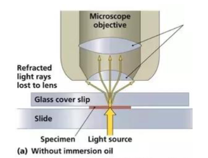 <p>What are the refractive indices of air, glass, and immersion oil?</p>