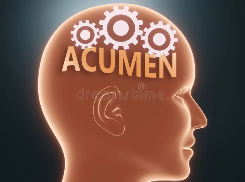 <p>acumen</p>