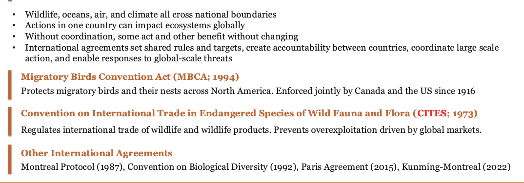 <p><span>When a shared resource is overused because no one is (feels) RESPONSIBLE for protecting it. Without rules or coordination, shared resources easily become overexploited</span></p>