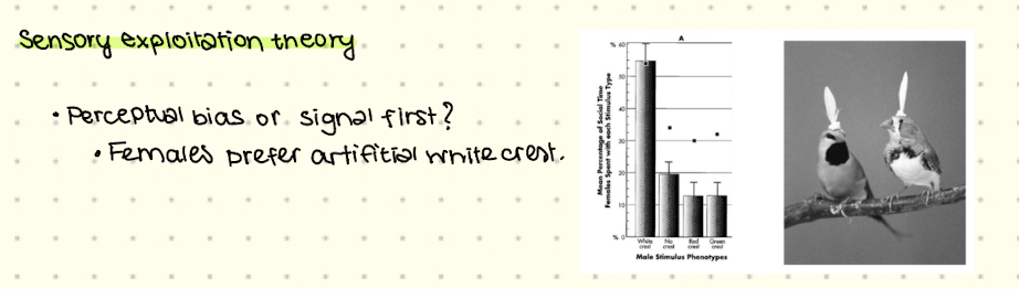 <img src="https://assets.knowt.com/user-attachments/caad7df8-c71e-40c7-a605-64539bd67f90.png" data-width="100%" data-align="center"><p></p>