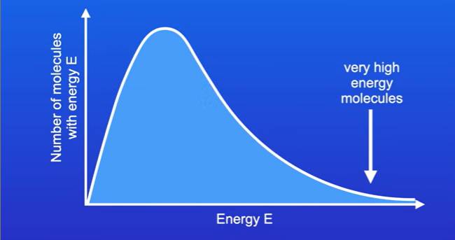 <p>If we measure the energy of all the molecules in a gas , liquid or solution, we get this curve</p><p>The curve starts at the origin</p><p>Some molecules have very high energy , the curve does not touch the x axis at high energies, so theres no max energy that molecules could have</p><p>Area under the curve tells us the total number of molecules in the system</p>