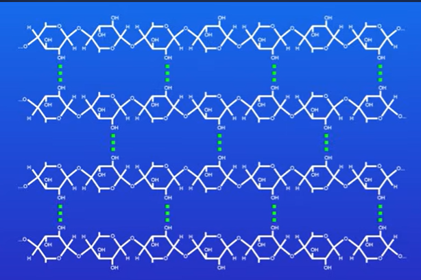 <p>Straight chain, this allows cellulose molecules to get close together , hydrogen bonds can now form between neighbouring chains , due to large number of hydrogen bonds it makes cellulose extremely strong.</p>