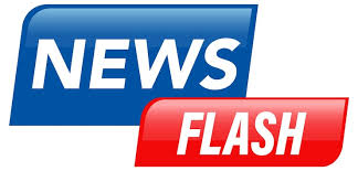 <p>newsflash (n) <span>/ˈnjuːzflæʃ/</span></p>