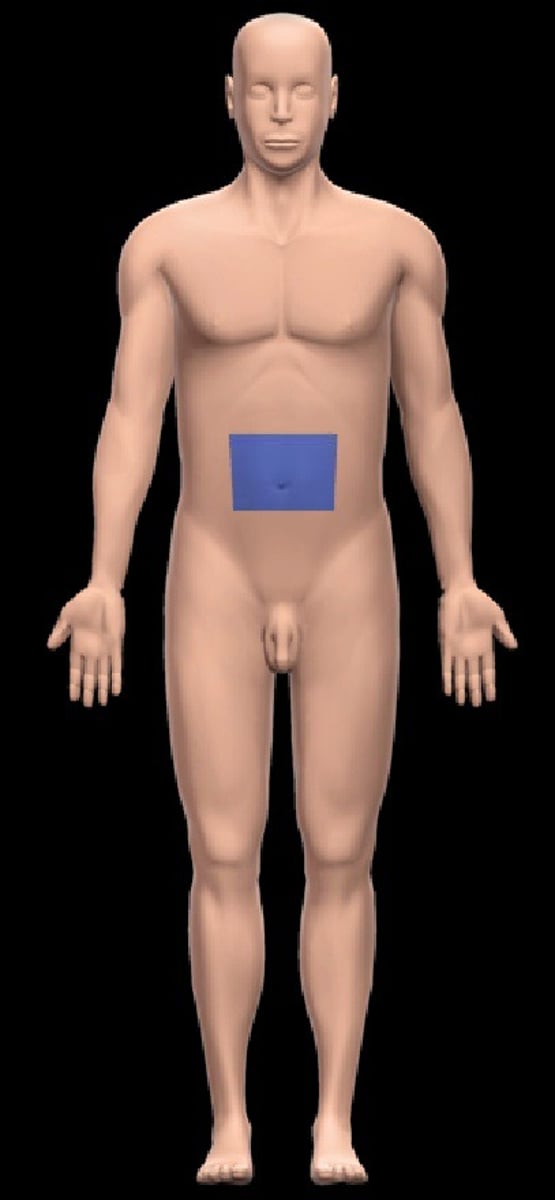 <p>Belly button (navel)</p>