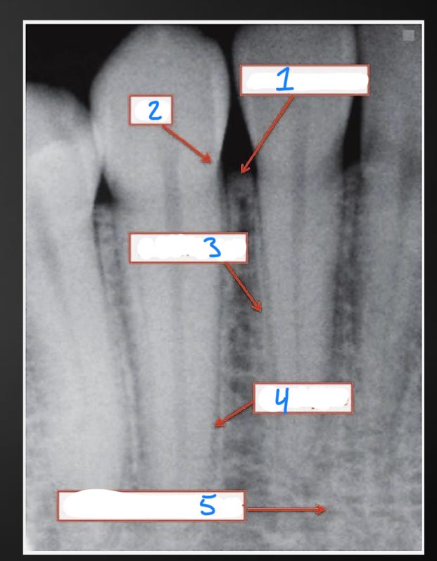 <p>3?</p>