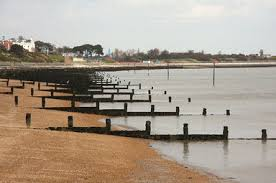 <p>perpendicular to coastline; blocks longshore drift<br>- must be able to tell which side wind came from by looking at distribution of sand btwn these sections</p>